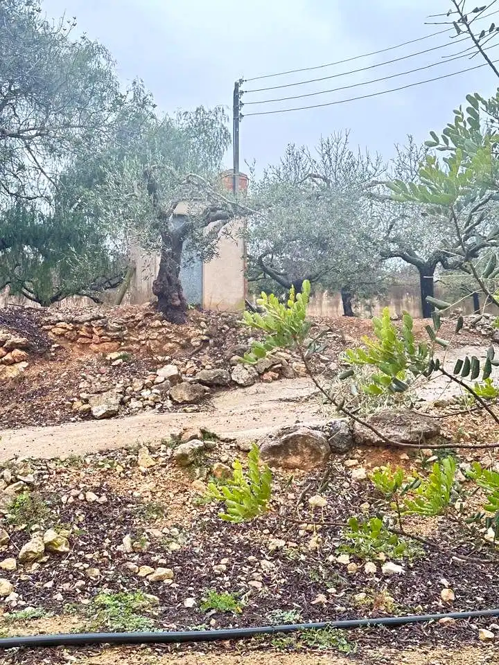 Fabrikhallen zum Verkauf in Tortosa