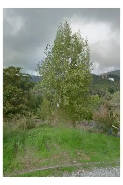 Wohnbaugrundstück zum Verkauf in Cabanyes - Mas Ambrós - Mas Pallí, imagen 9
