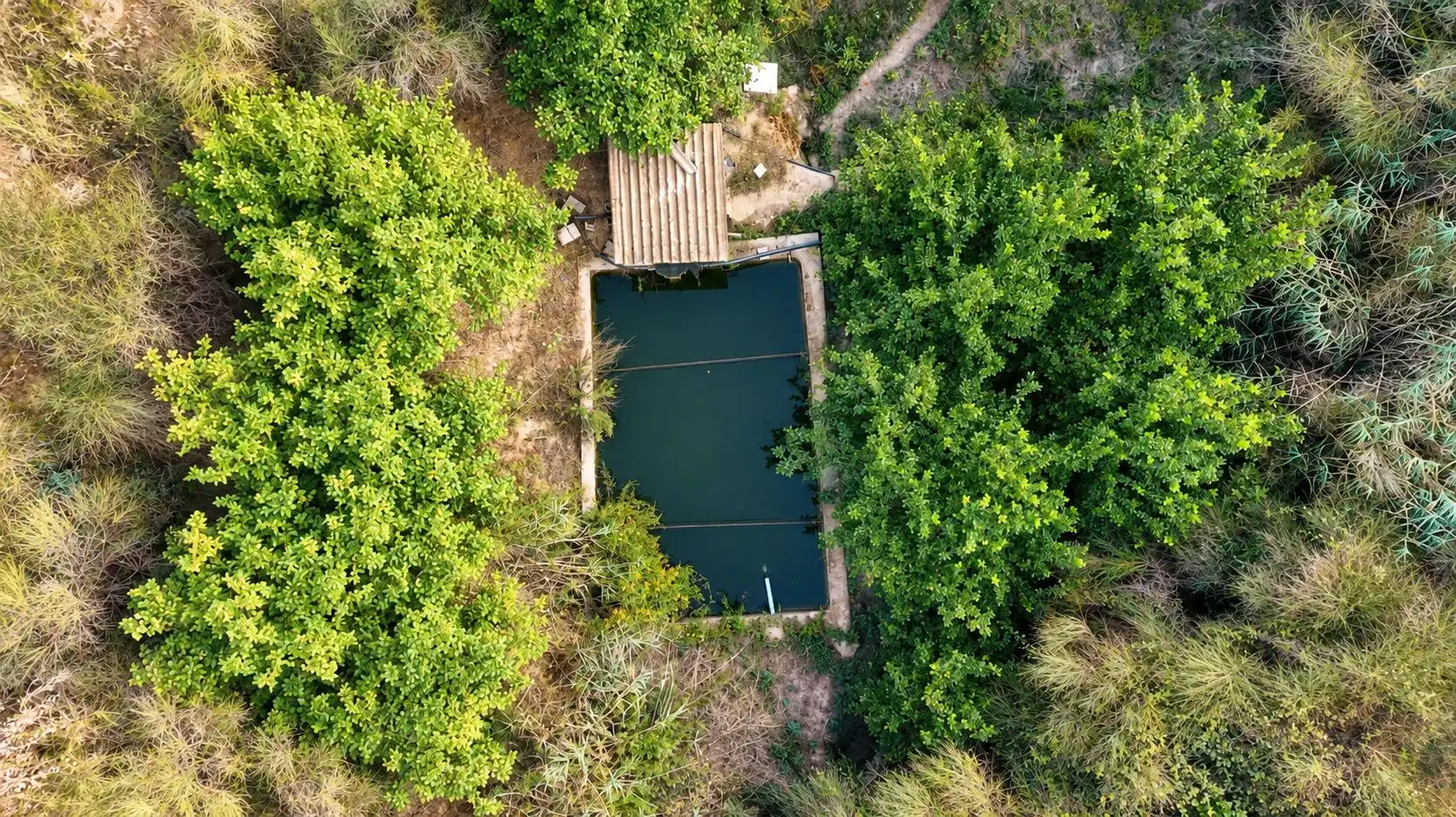 Terreno rustico in vendita a Lecrín, imagen 7