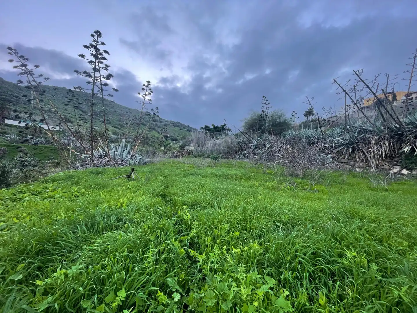 Terreno en venta en Valsequillo de Gran Canaria