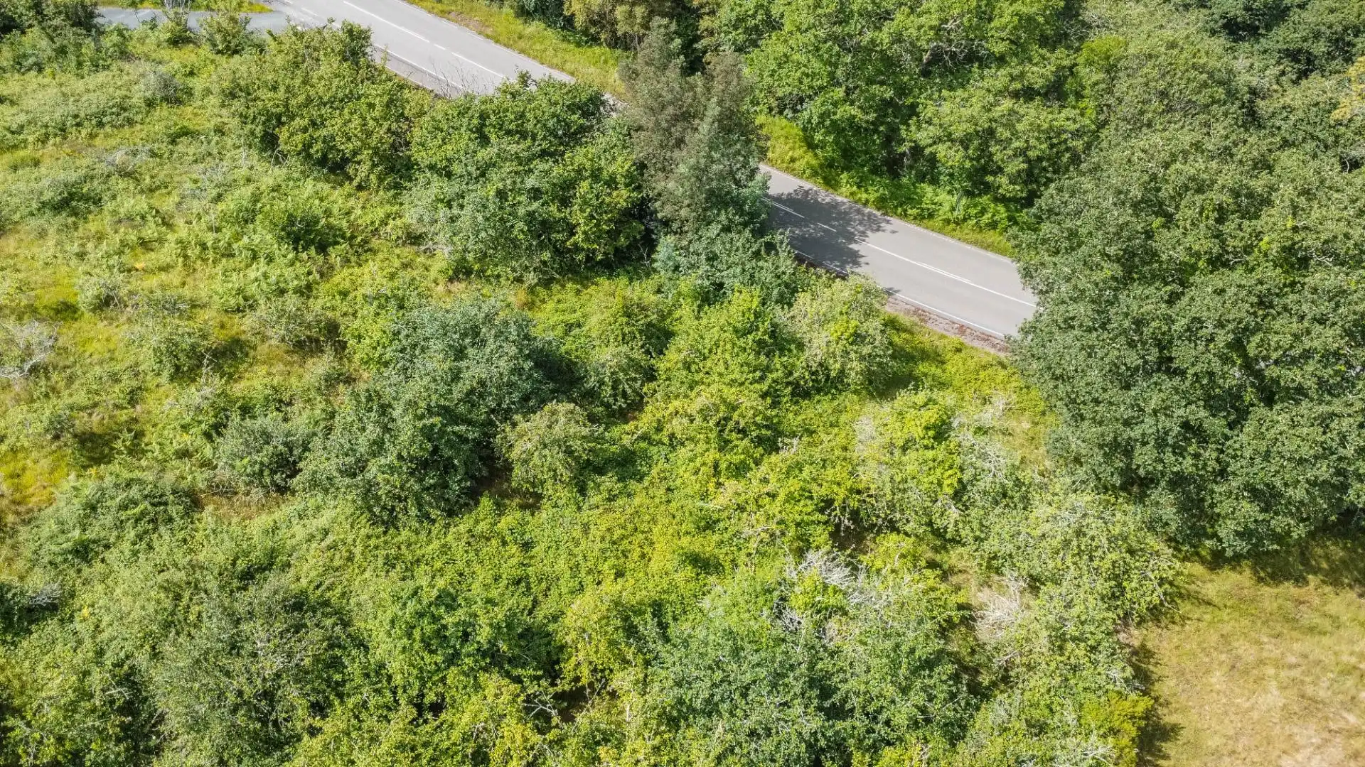 Rural land for sale in del pareo, imagen 21