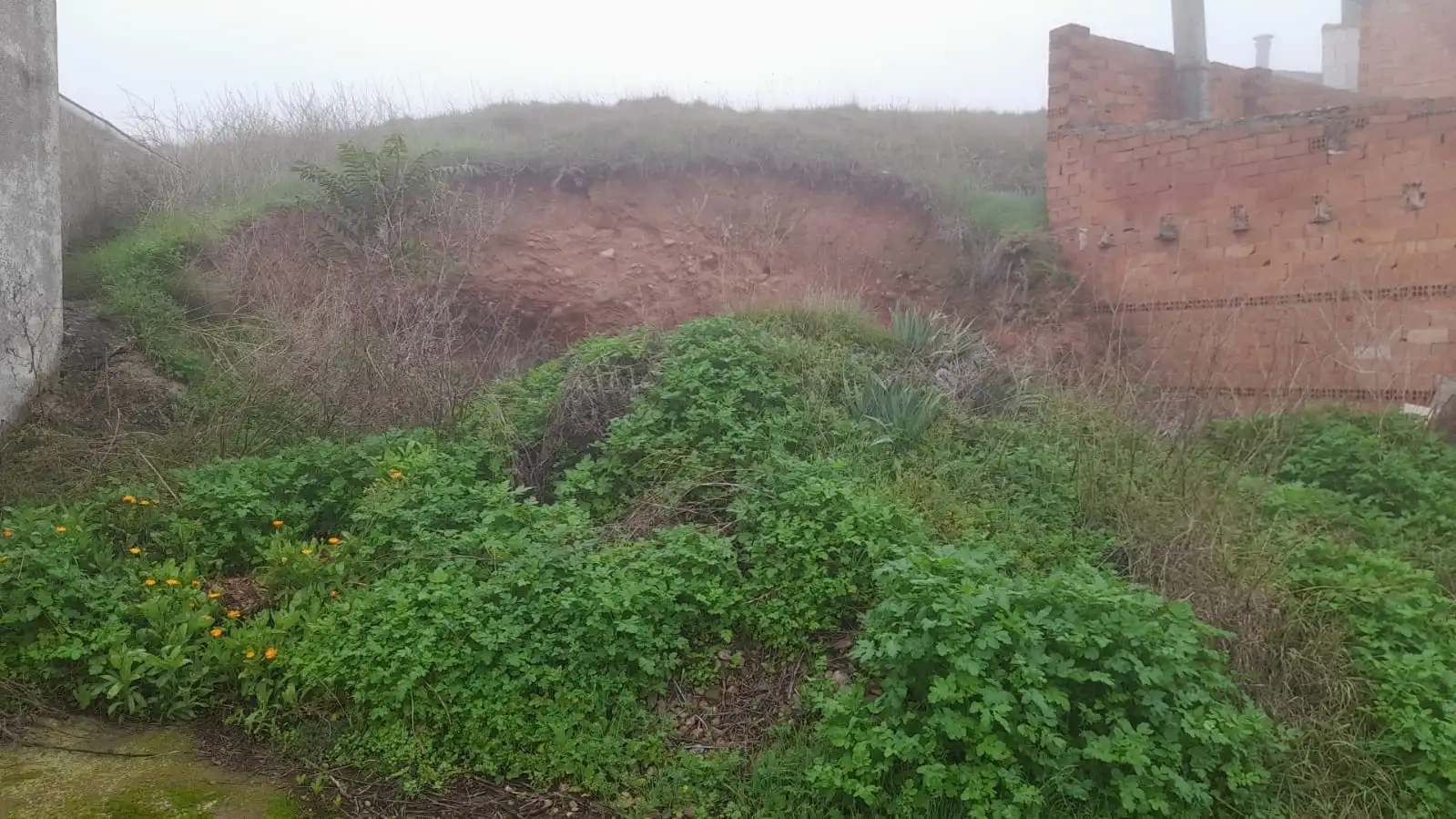 Terrain résidentiel à vendre à Medrano, imagen 3
