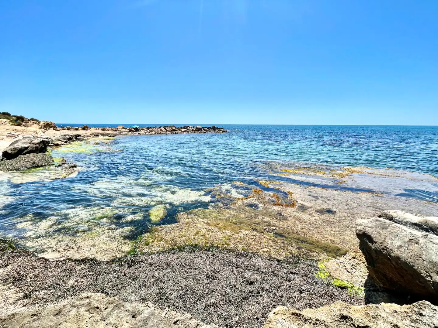 Vista exterior de Casa o xalet en venda en Alicante / Alacant amb Aire condicionat, Calefacció i Jardí privat
