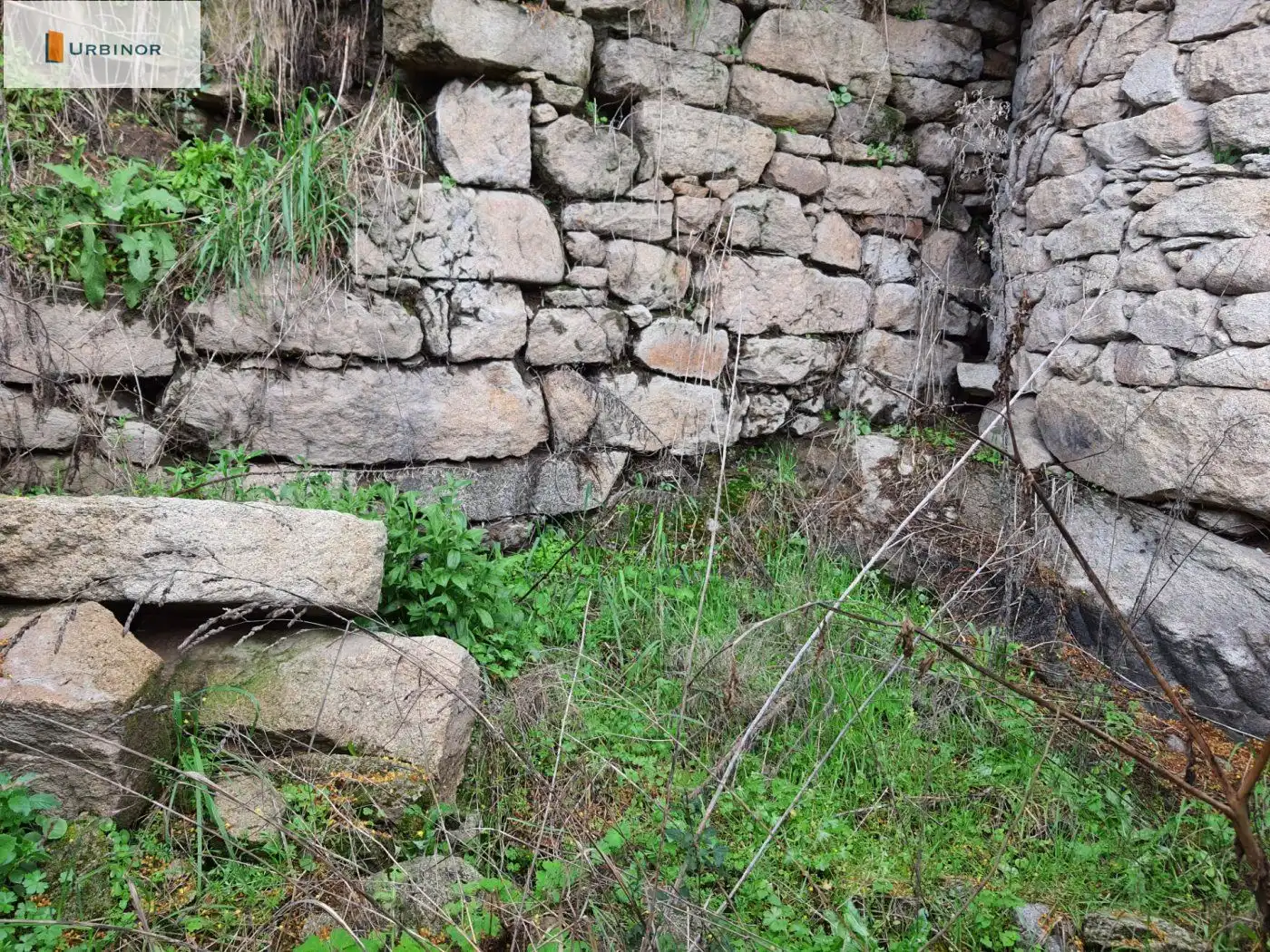 Houses for sale in San Rosendo