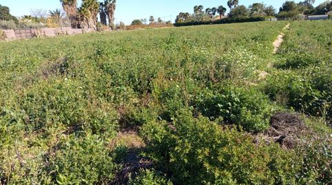 Foto 2 von Grundstücke zur Miete in Camí Ermita del Angel, La Algoda - Matola - Llano de San José, Elche / Elx