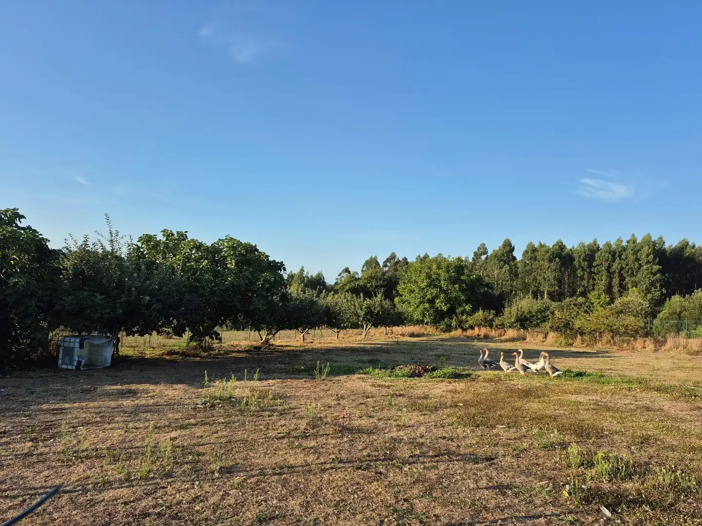 Terreni e lotti in vendita a A Laracha, imagen 5