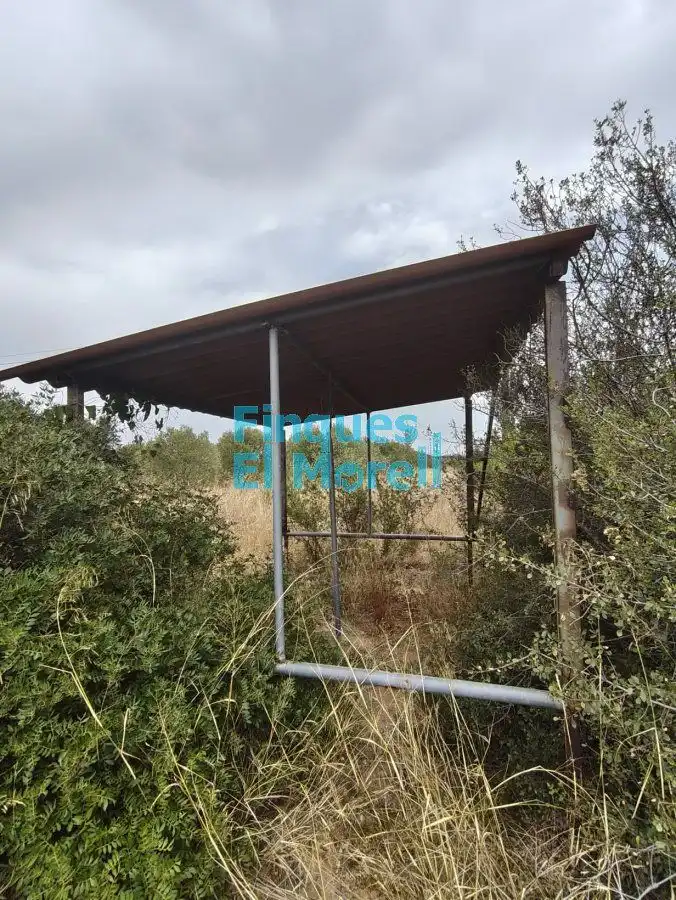 Finca rústica en venda en Constantí