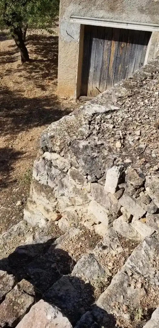 Vista exterior de Finca rústica en venda en Amposta