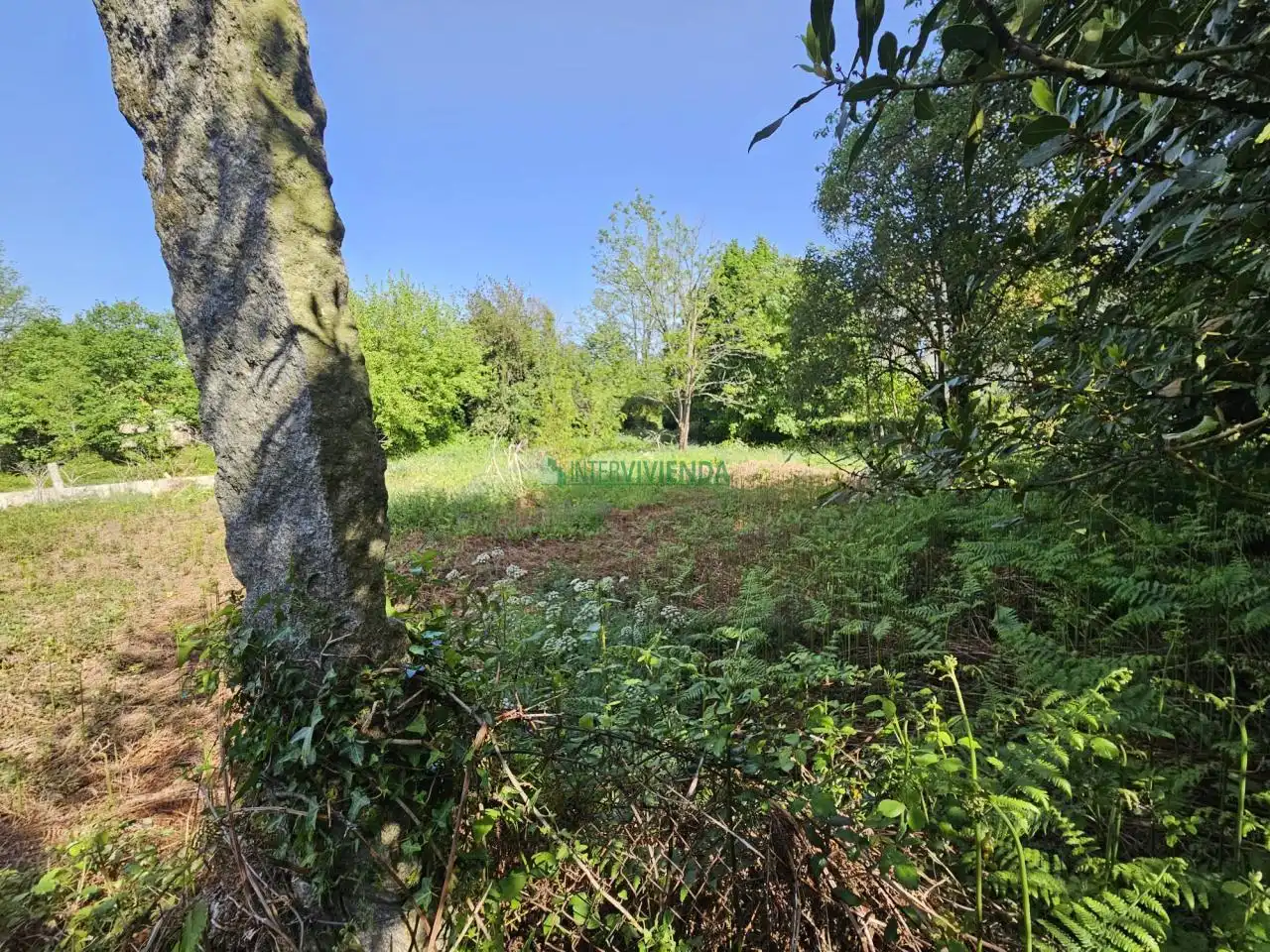 Casa rústica amb jardí en venda a Ramón Peinador, imagen 4