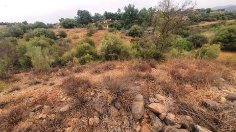 Foto 2 de Finca rústica en venda a Campanillas, Málaga