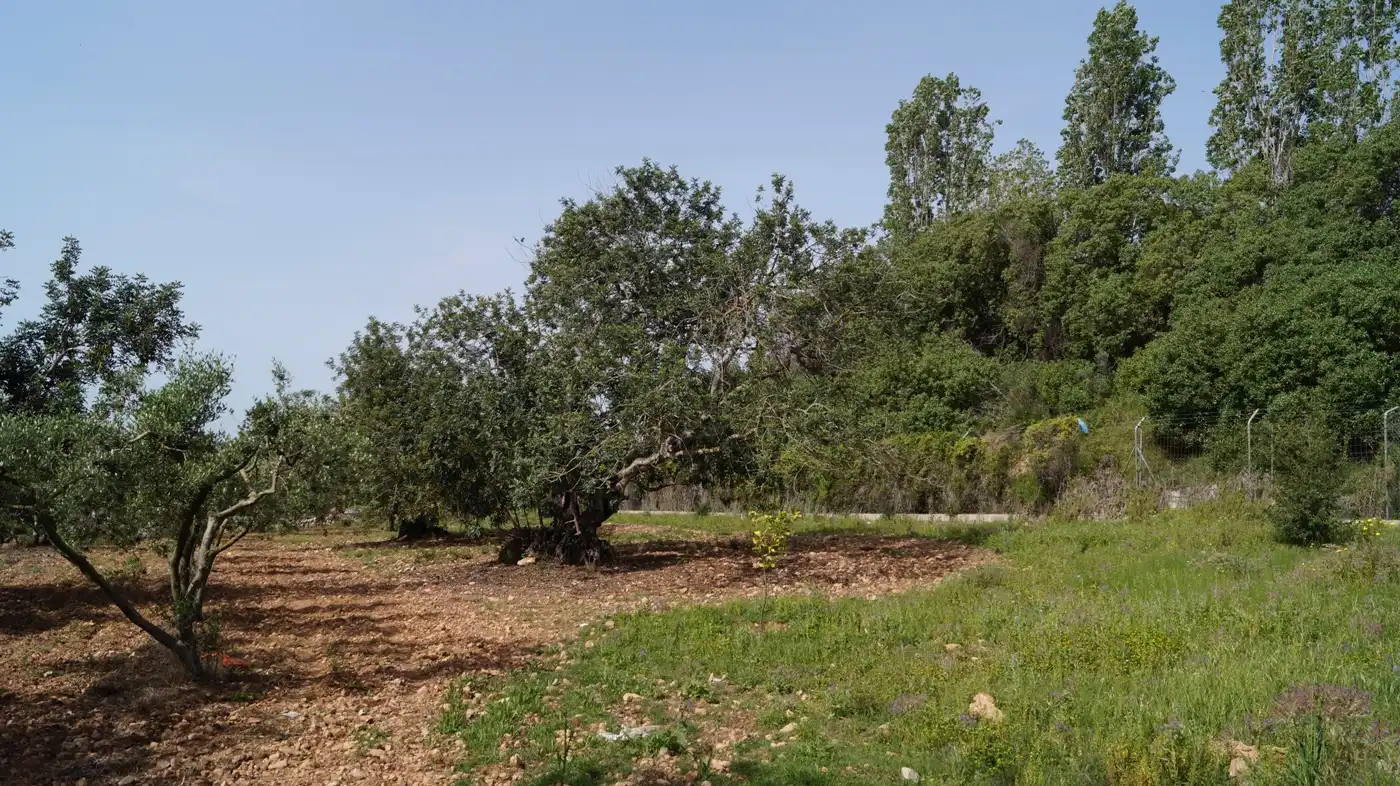 Terreno en venta en Torredembarra
