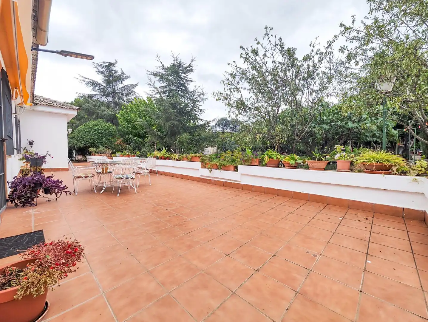 Casa o chalet en venta en CM-4110, PAU 2-600