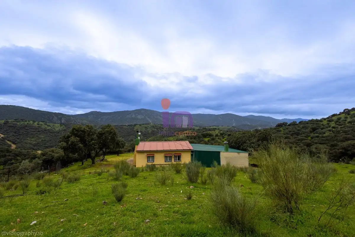Finca rústica en venta en San Lorenzo de Calatrava