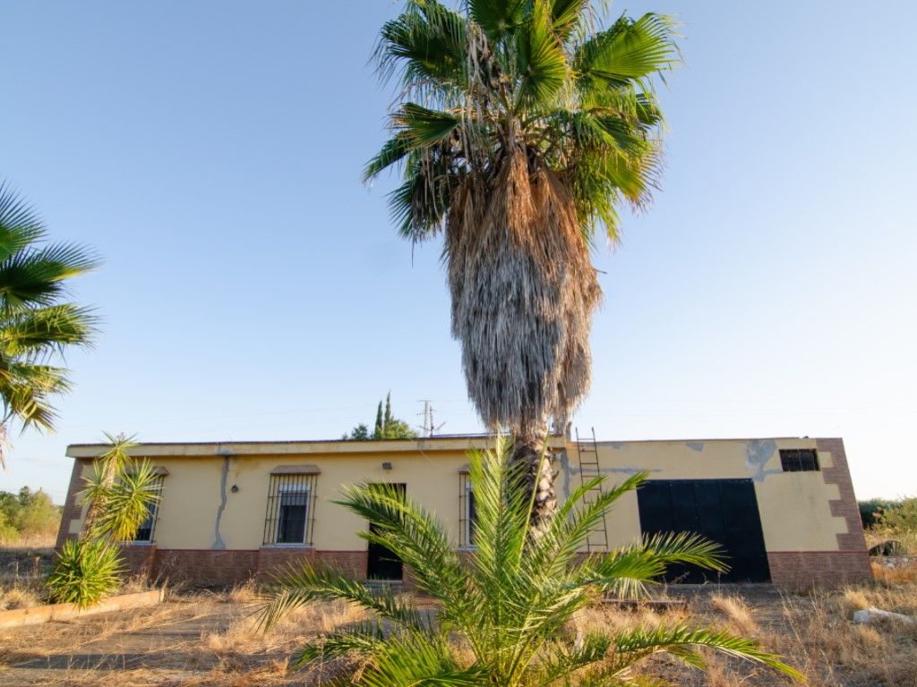 Casa o xalet en venda a Carmona