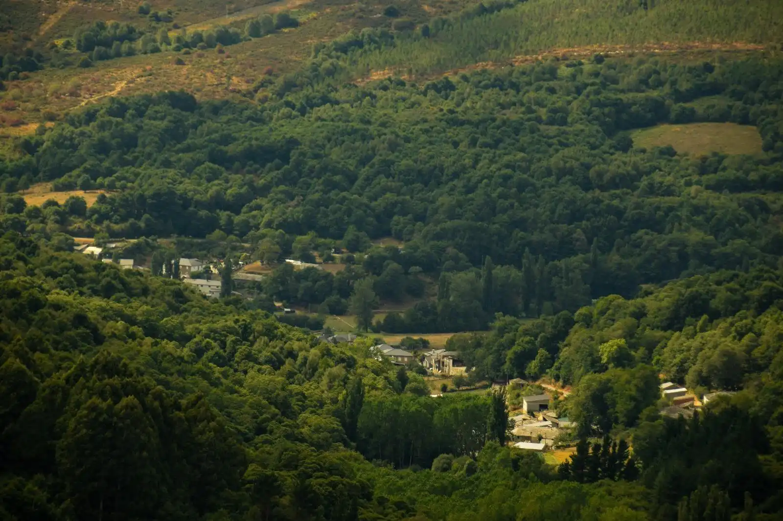 Exterior view of Houses for sale in O Incio 