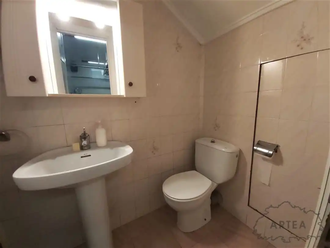 Local en venta en Sagarminaga Kalea, 48, Santutxu - Basarrate