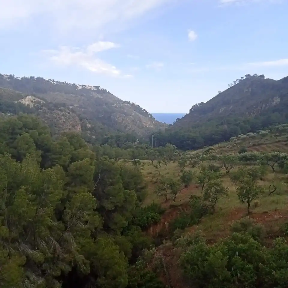Autres à vendre à Carretera Nacional N-340, imagen 4