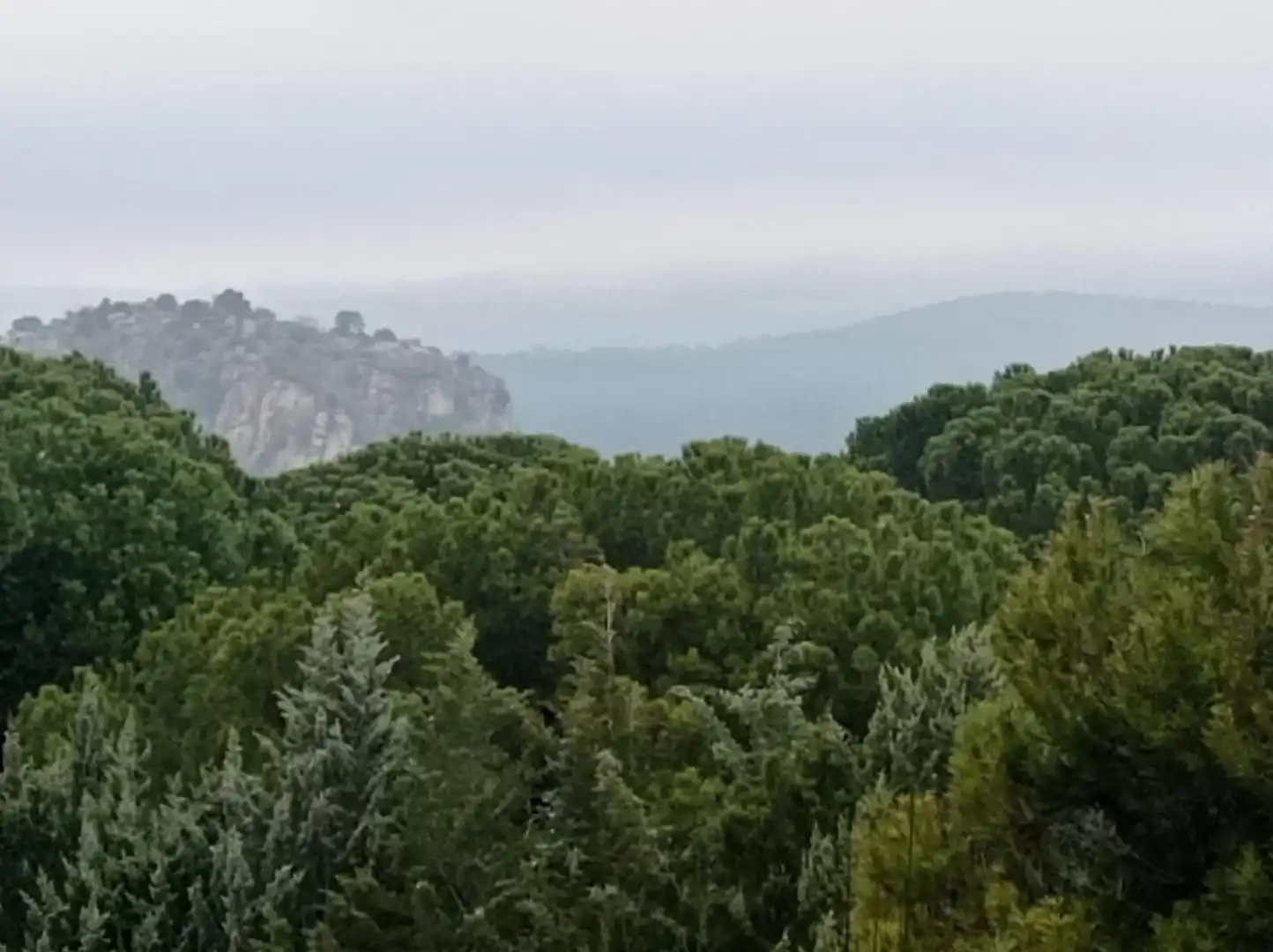 Terreny rústic en venda a San Martín de Valdeiglesias, imagen 18