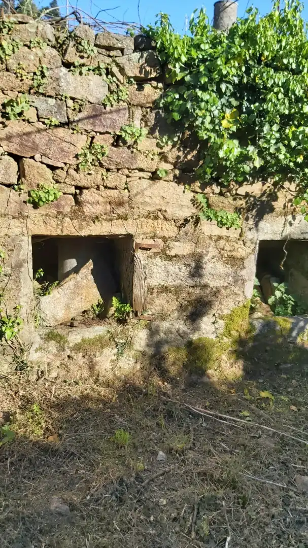 Casa rústica amb terrassa en venda a Lugar Cabreiro-Tremoedo 3A, imagen 14