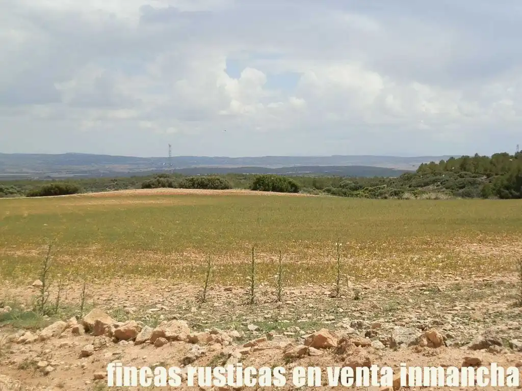 Terreni e lotti in vendita a Bonete, imagen 5