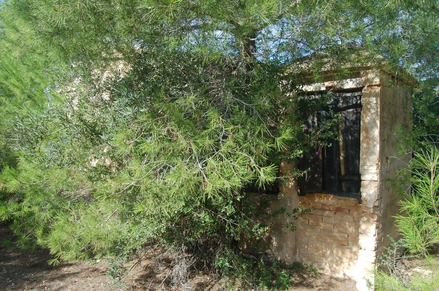 Terreny rústic en venda a Partida La Bassa Fornos, imagen 4