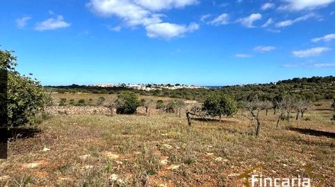 Photo 2 of Residential for sale in Ma-4014, Manacor Centre, Manacor