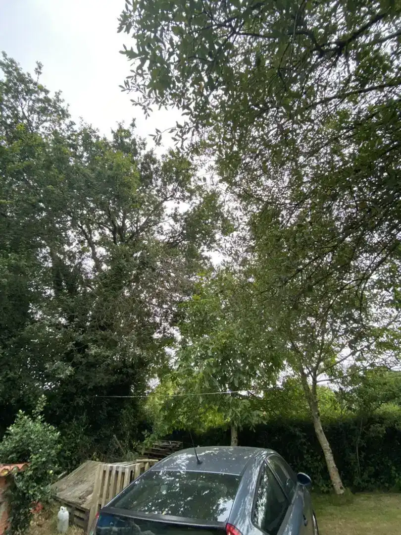 Vista exterior de Pis en venda en Curtis amb Jardí privat, Traster i Piscina