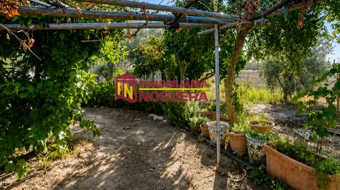 📍FINCA RUSTICA CON CASA Y 2 NAVES CERCA DE ECIJA📍, immagine 2