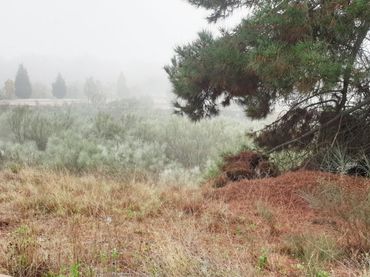 Residential land for sale in Boecillo