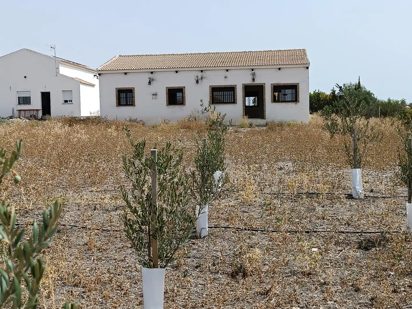 Terreny residencial en venda a Villamartín, imagen 4
