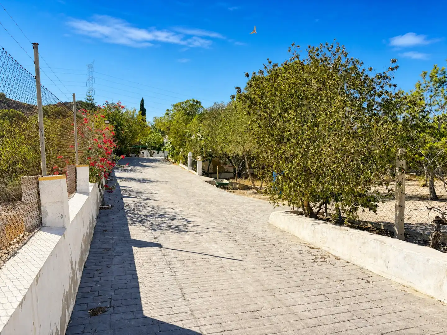 Chalet con piscina en venta en Partidas de Alicante, imagen 17