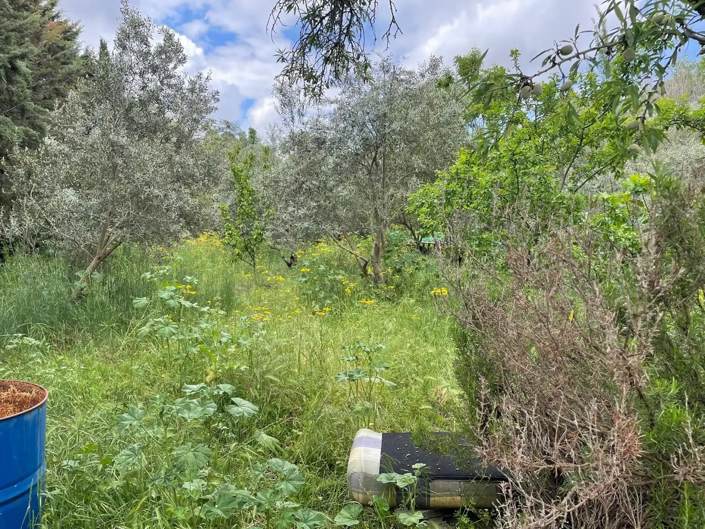 Finca rústica en venda en Carrión de Calatrava amb Calefacció, Terrassa i Traster