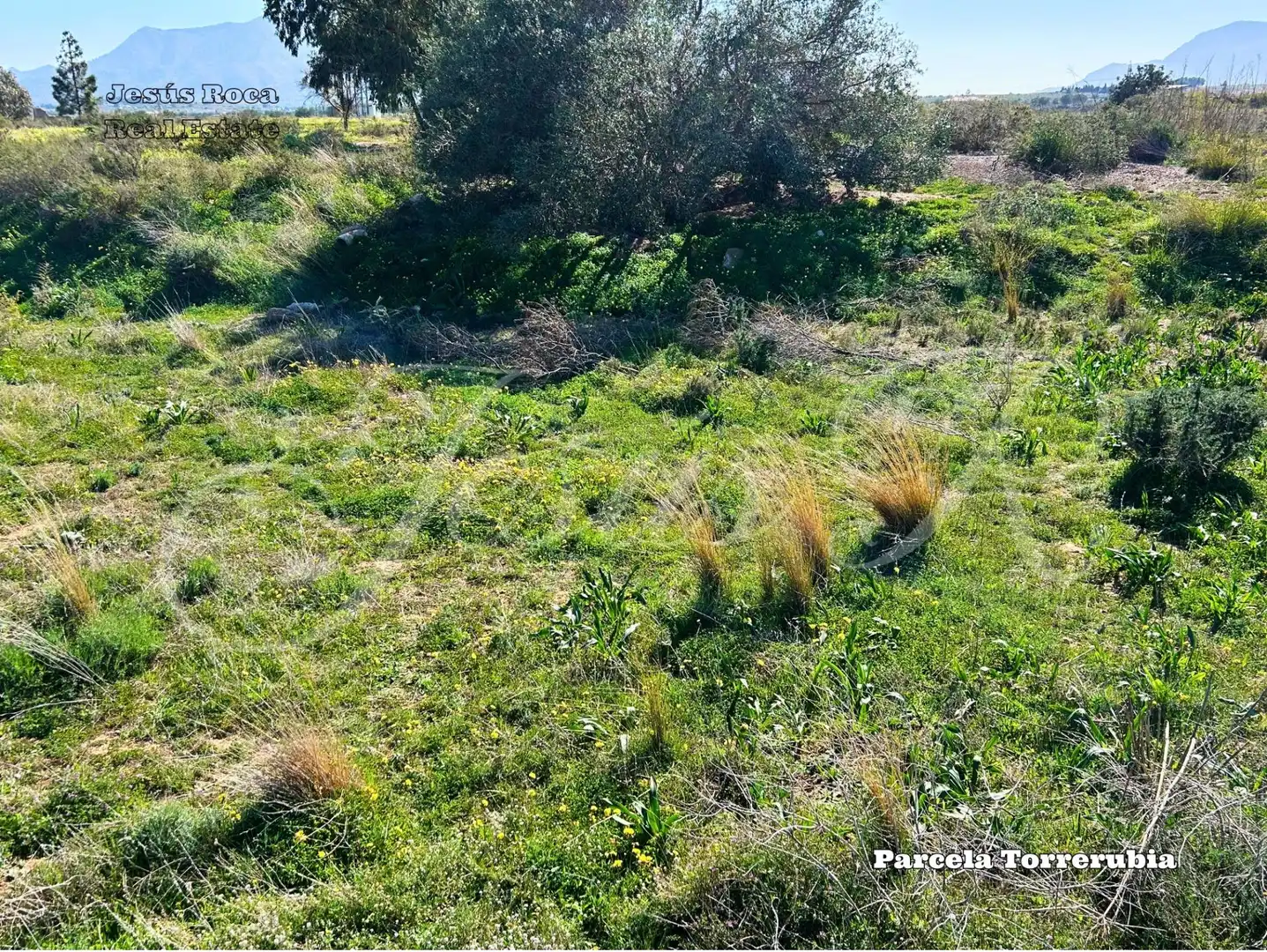 Terreno rustico in vendita a Pedanías Oeste, imagen 18