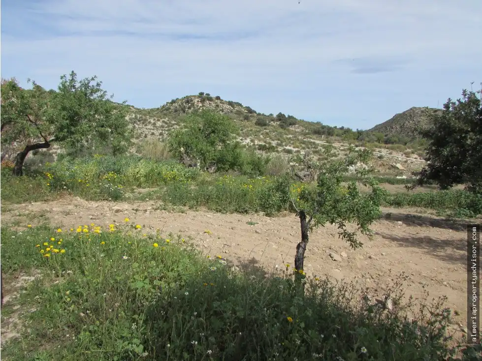Country house for sale in Sorbas, imagen 12