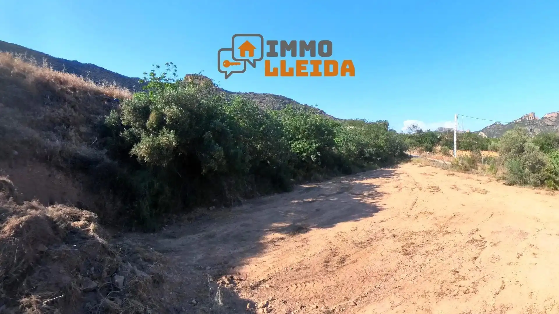 Terreny rústic en venda a Partida La Solana, imagen 10