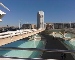 Swimming pool of Planta baja for sale in  Valencia Capital