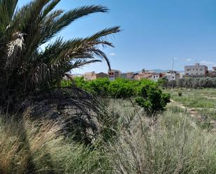 Land for sale in  Murcia Capital