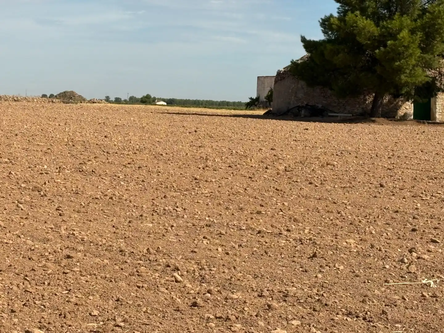 Rural land for sale in CM-400 580, imagen 7