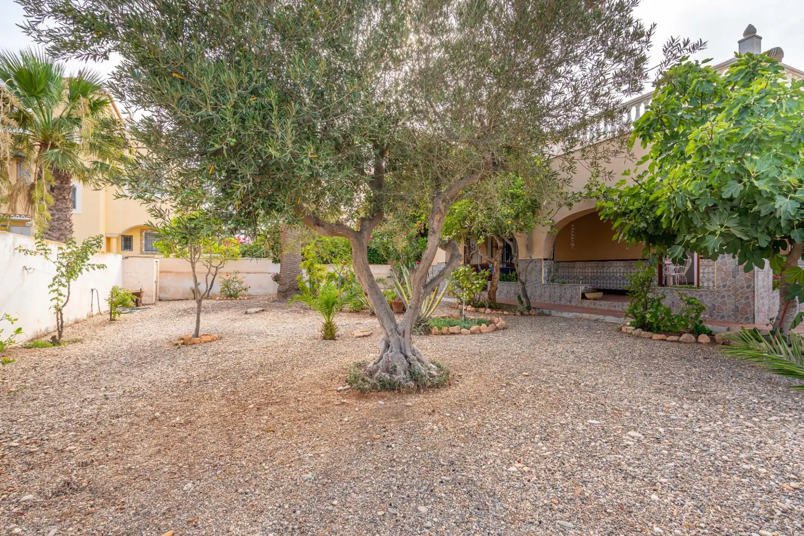 Jardín de Casa o chalet en venta en Roquetas de Mar