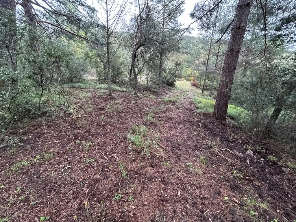 Country homes for sale in El Toro