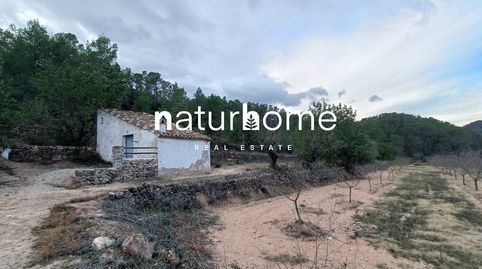 Finca Rústica con caseta en Miravet