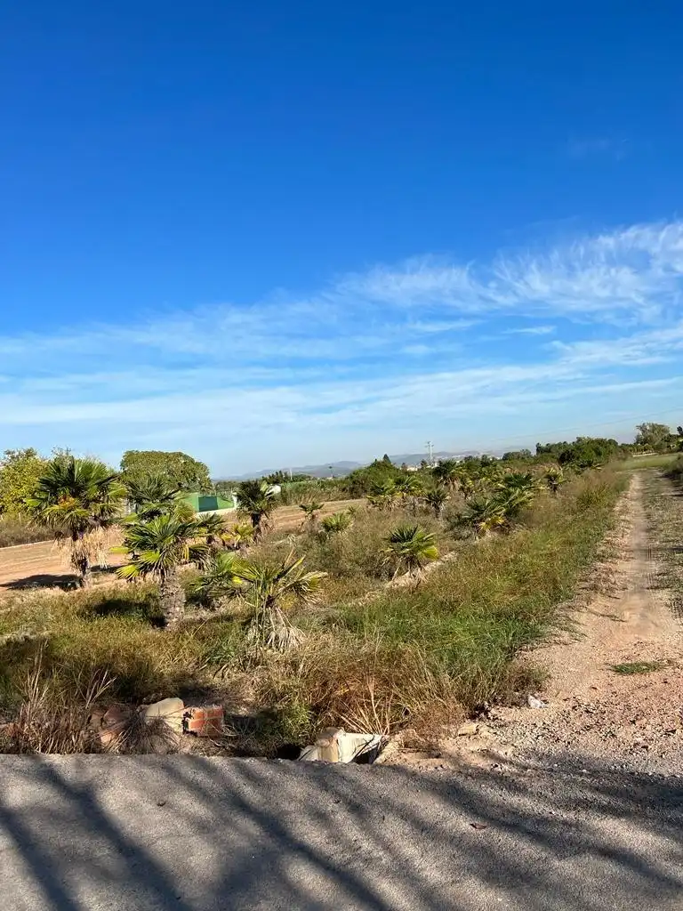 Terreno rústico en venta en Camino ABRES, imagen 7