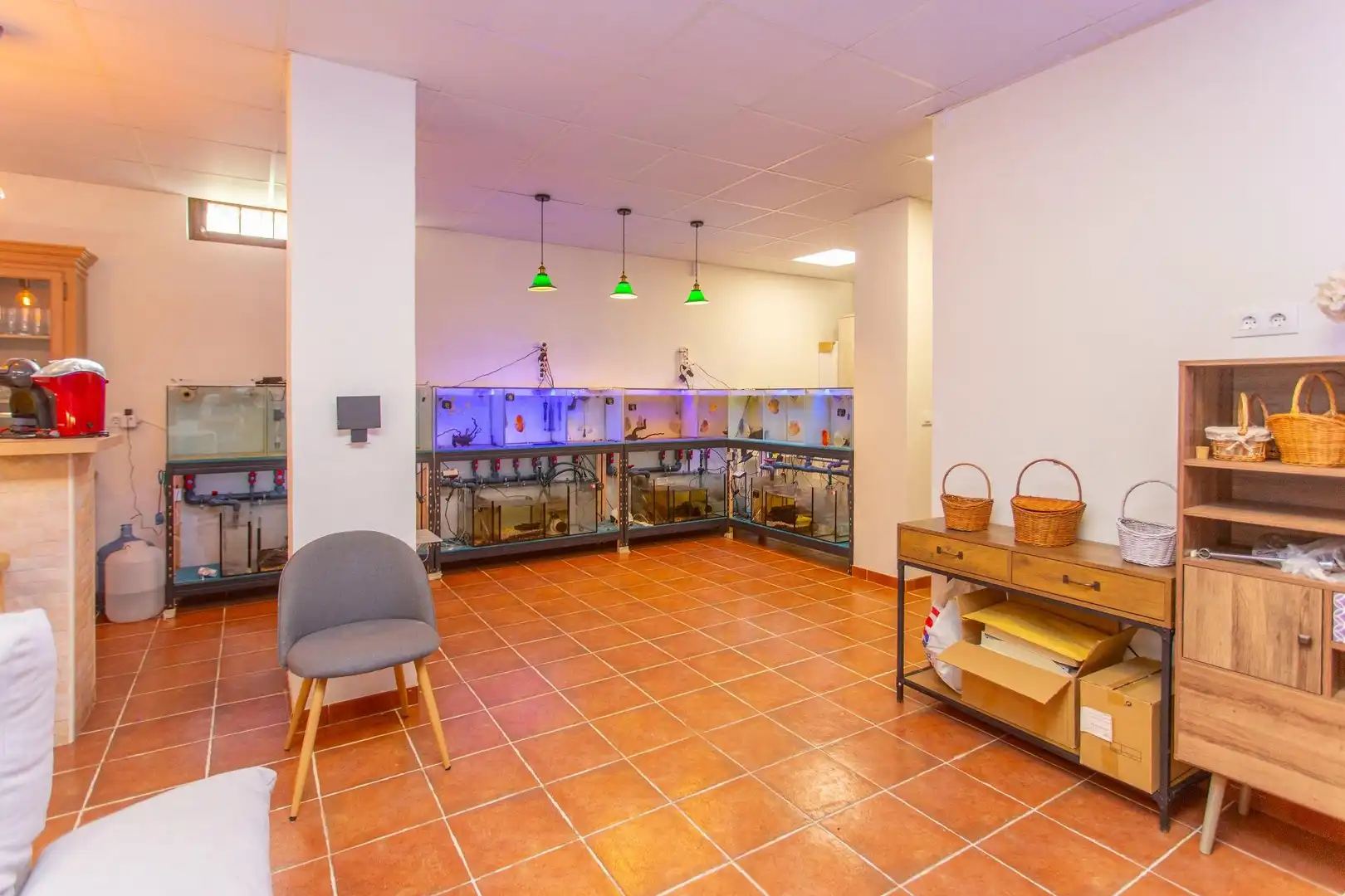 Chalet con piscina en venta en Caballero Bonald - San José Obrero - Guadalcacín, imagen 56