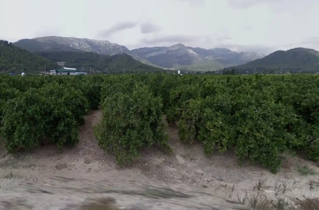 Rural land for sale in Tavernes de la Valldigna
