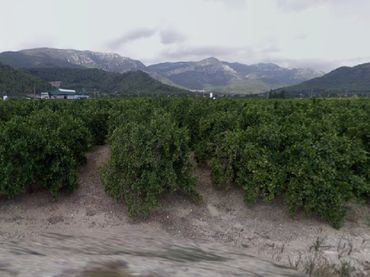 Terreny rústic en venda a Tavernes de la Valldigna