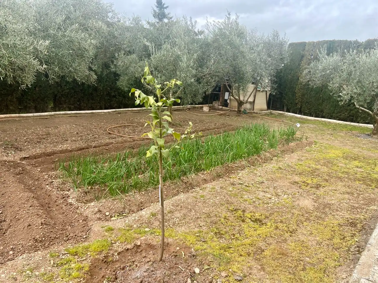 Casa o xalet en venda en Ciudad Real amb Calefacció, Jardí privat i Traster