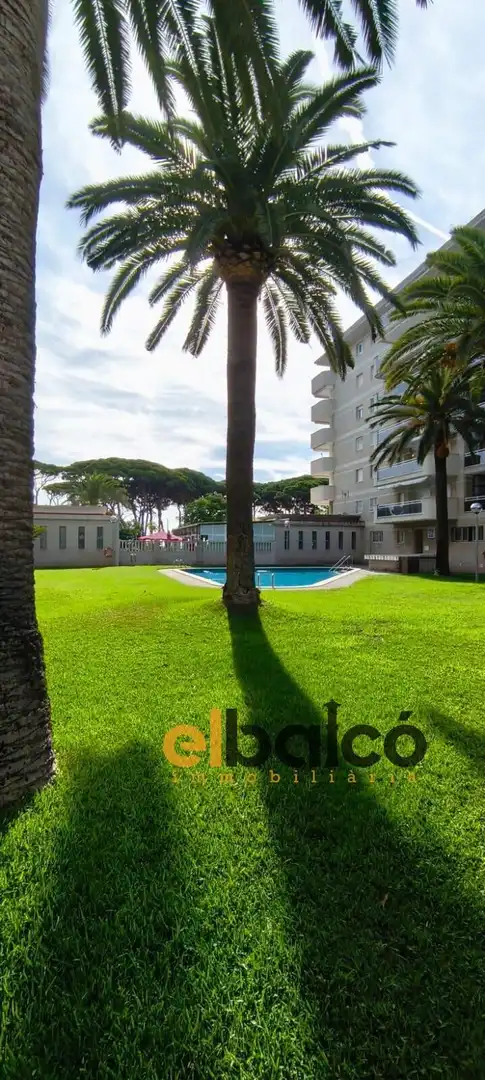 Flat for sale in Carrer d'Emili Vendrell, 4, La Pineda