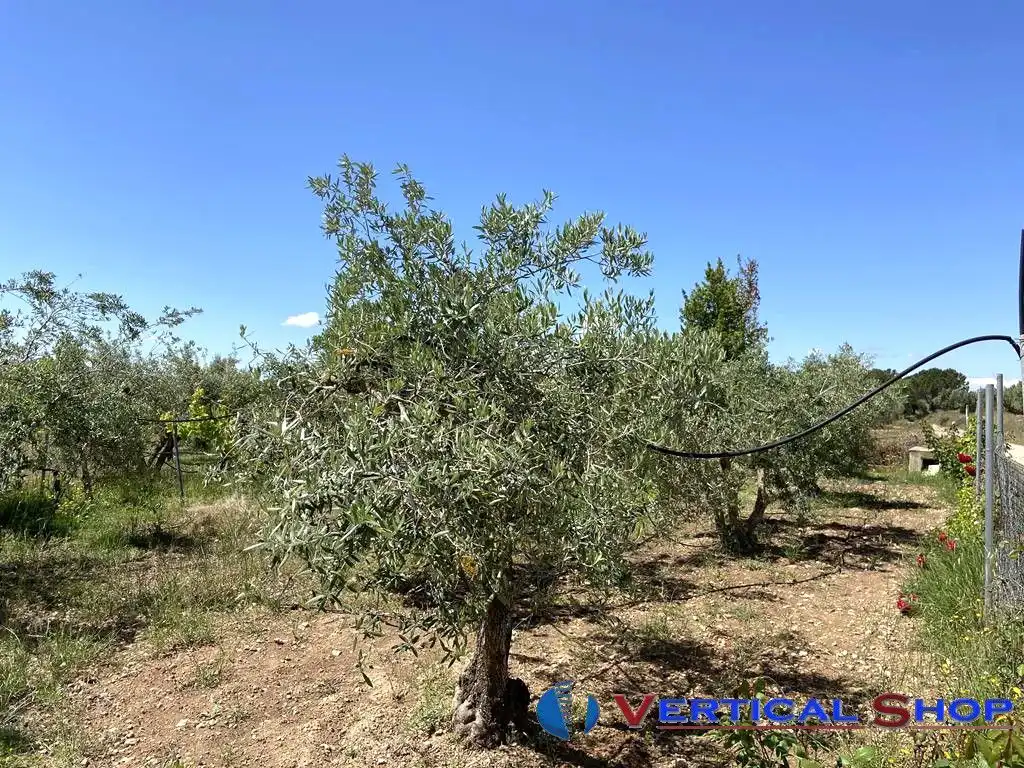 Villa à vendre à Martin Gil, imagen 41