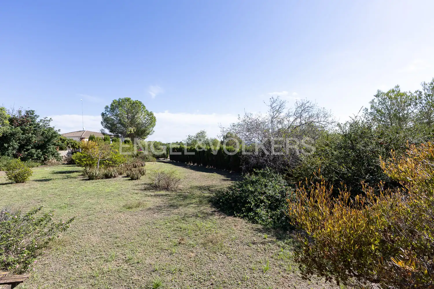 Casa con terrazza in vendita a Montserrat, imagen 50