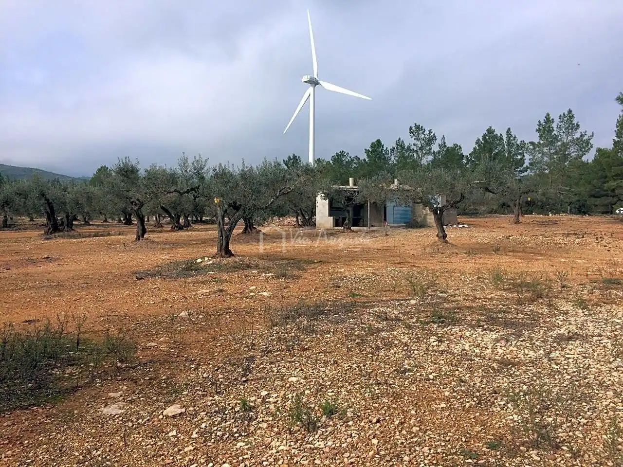 Terreno rustico in vendita a Burga, imagen 2